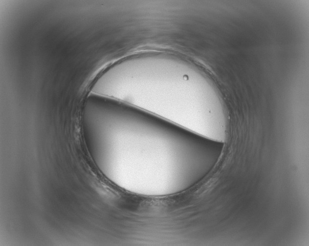 X0000067461355200604070916