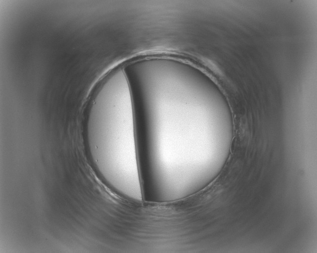 X0000067461356200604070916