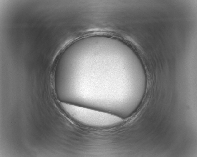 X0000067461357200604070916