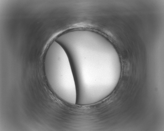 X0000067461358200604070916