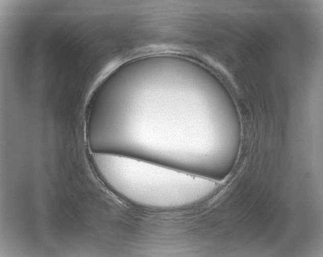 X0000067461365200604070916