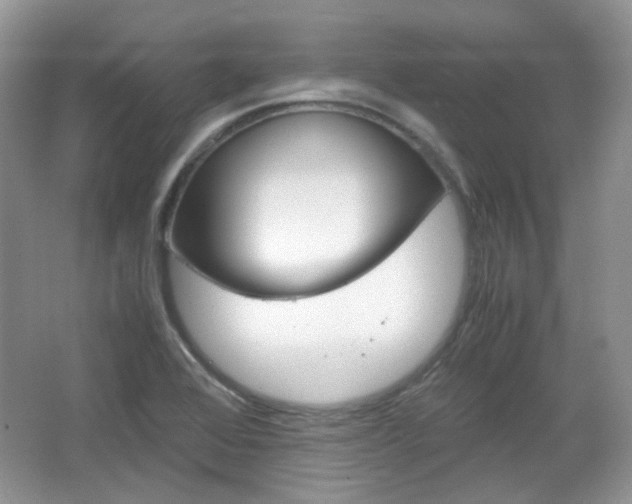 X0000067461368200604070916