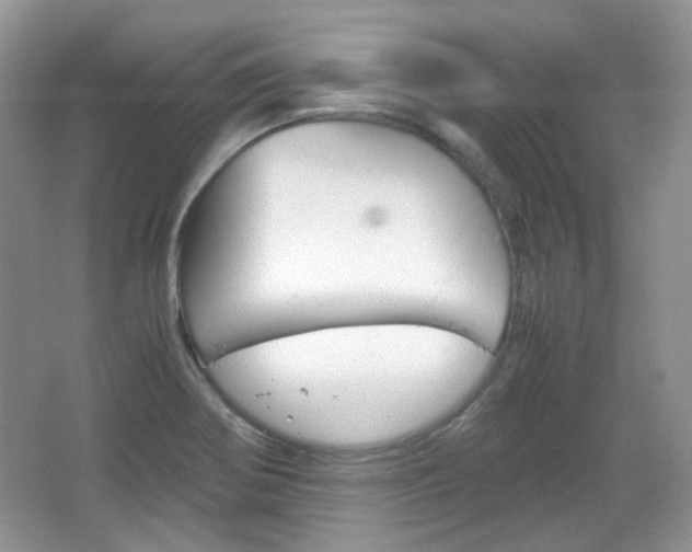 X0000067461370200604070916