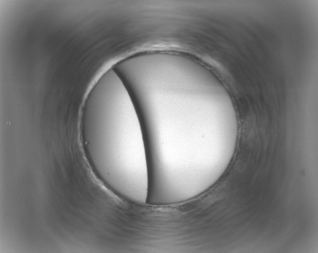 X0000067461374200604070915