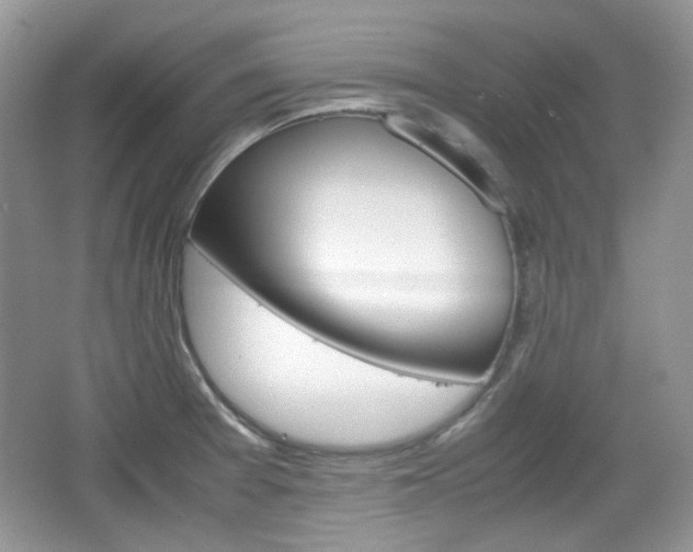 X0000067461377200604070915