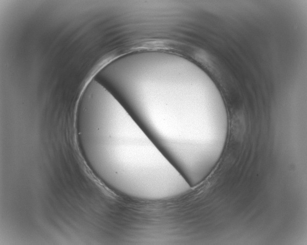 X0000067461378200604070915