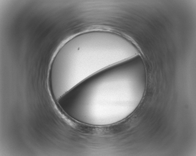 X0000067461379200604070915