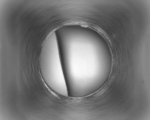 X0000067461385200604070915