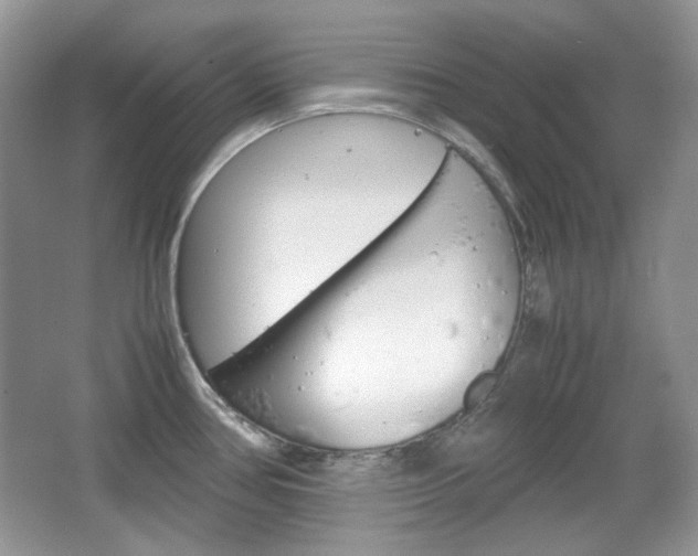 X0000067461386200604070915