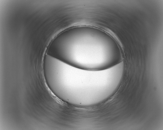 X0000067461388200604070915