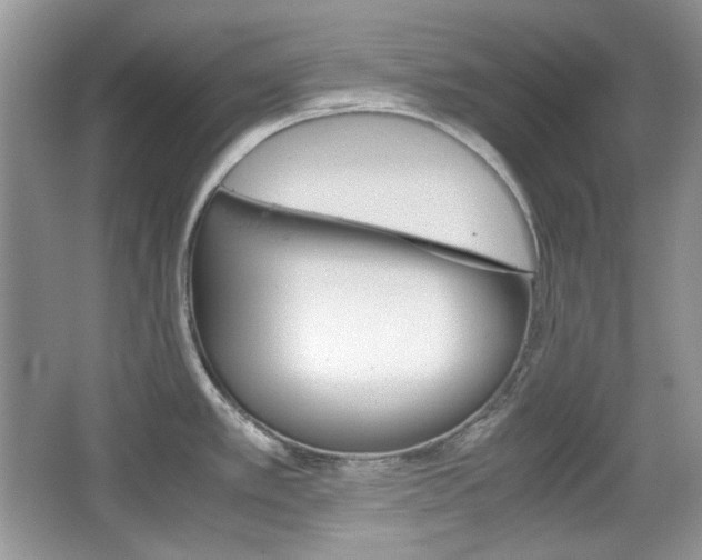 X0000067461389200604070915