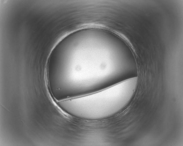 X0000067461391200604070915