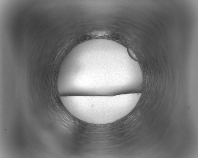 X0000067461393200604070914