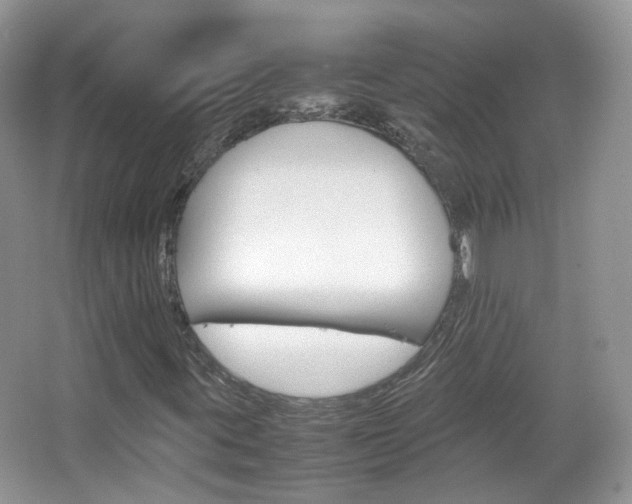 X0000067461395200604070914