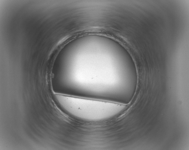 X0000067461402200604070914