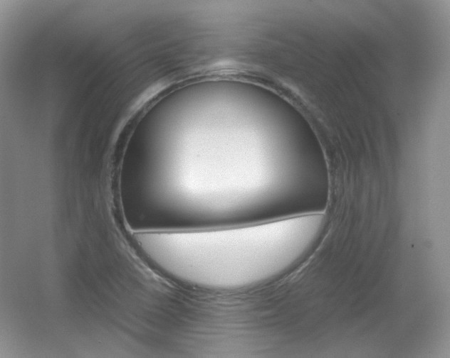 X0000067461410200604070915