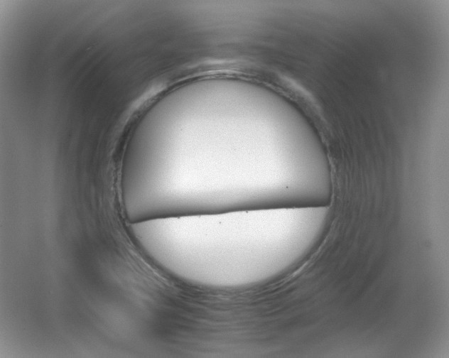 X0000067461411200604070915