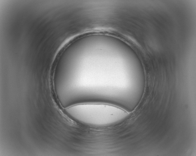 X0000067461412200604070915