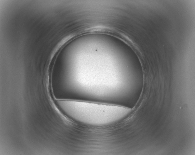 X0000067461418200604070915