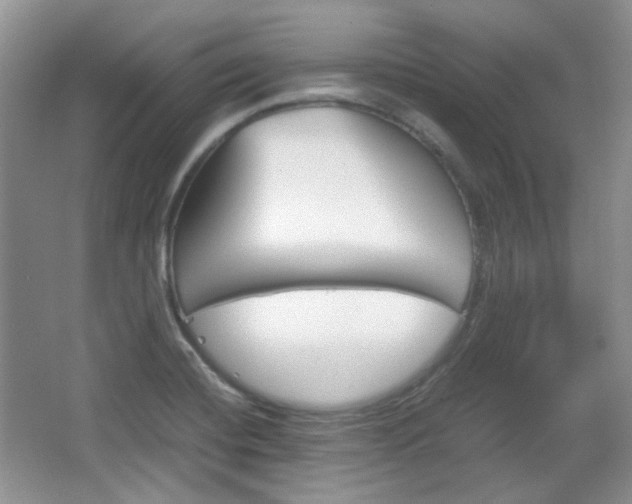 X0000067461420200604070915
