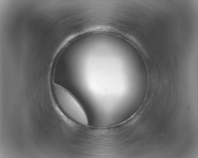 X0000067461422200604070915
