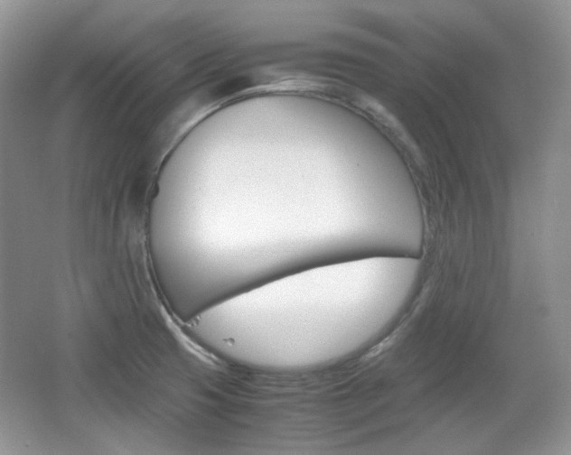 X0000067461425200604070915