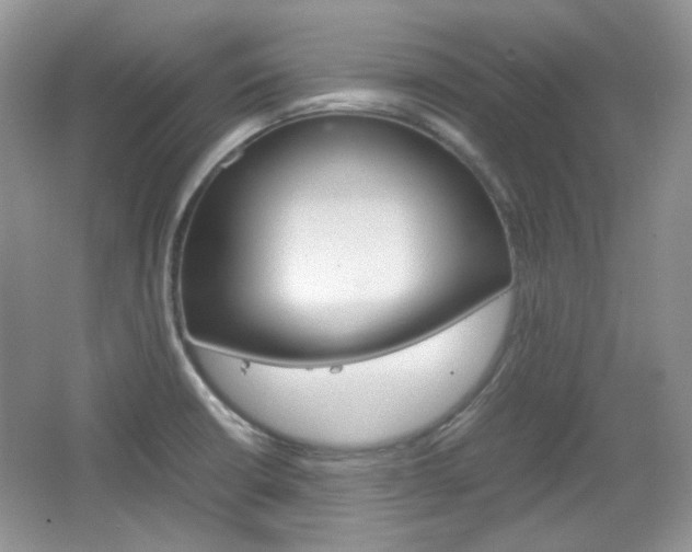 X0000067461426200604070915