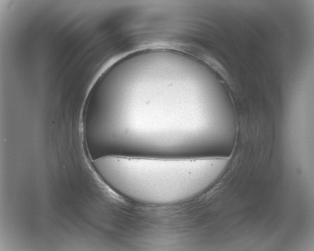 X0000067461428200604070915