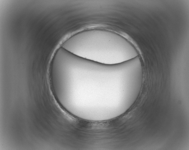 X0000067461429200604070915