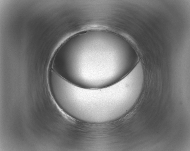 X0000067461430200604070915
