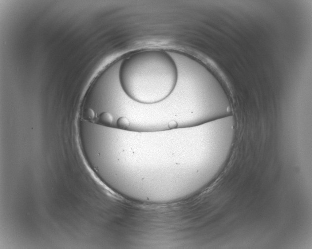 X0000067461432200604070915