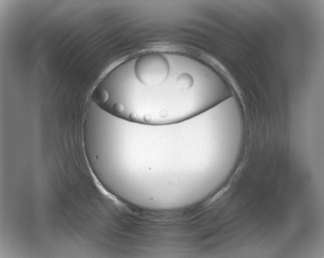 X0000067461433200604070915