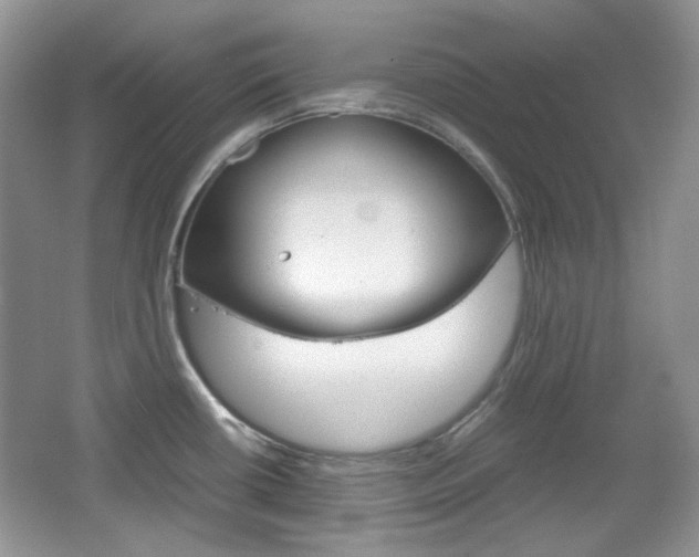 X0000067461434200604070915