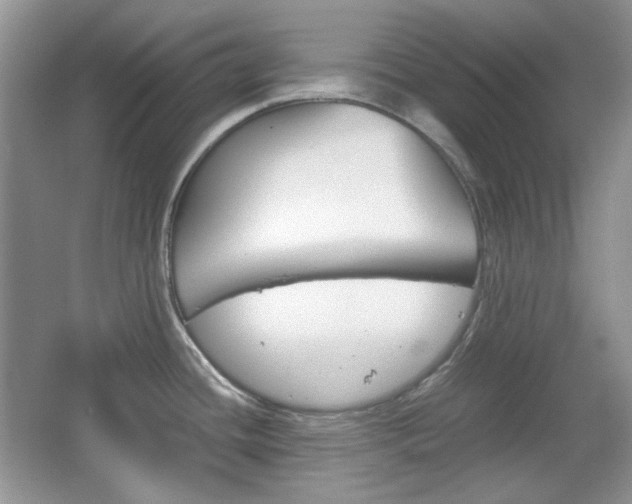 X0000067461436200604070915