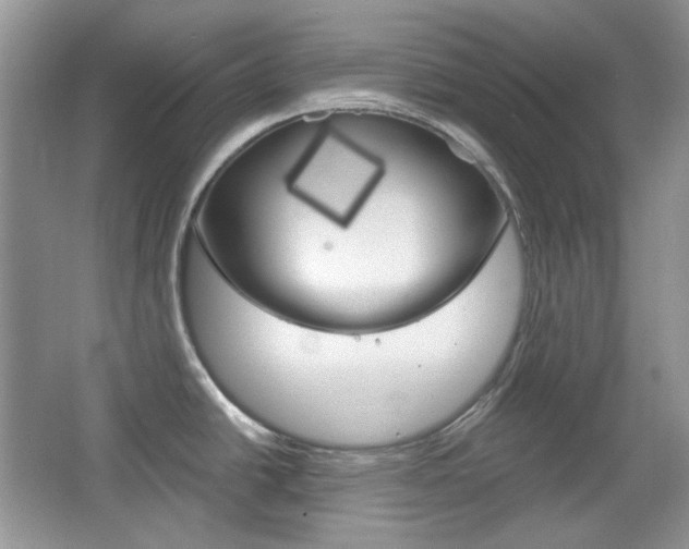 X0000067461438200604070915
