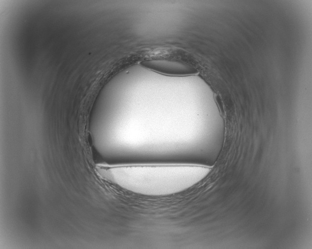 X0000067461441200604070914