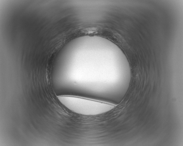 X0000067461442200604070914