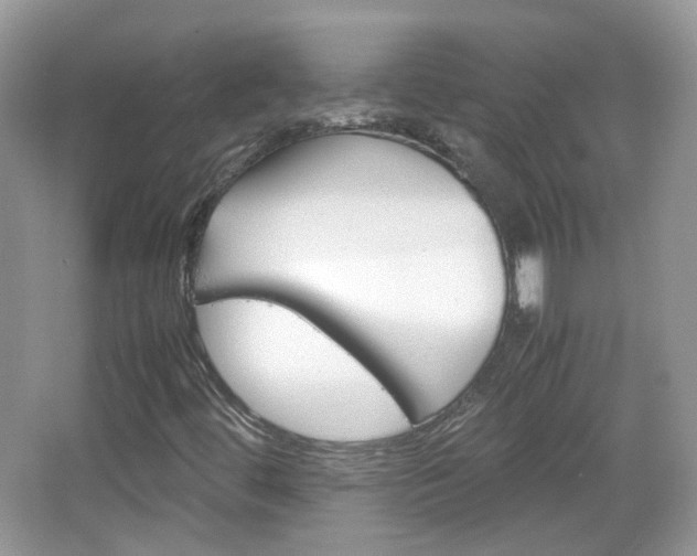 X0000067461444200604070914