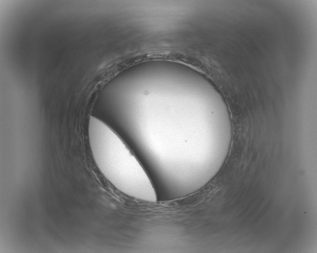 X0000067461445200604070914