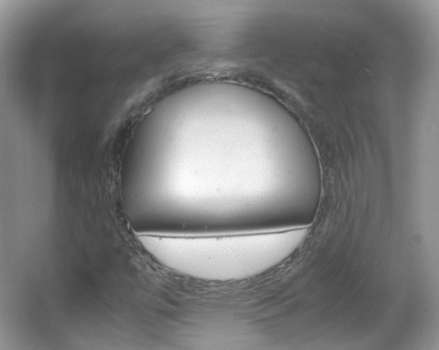 X0000067461447200604070914