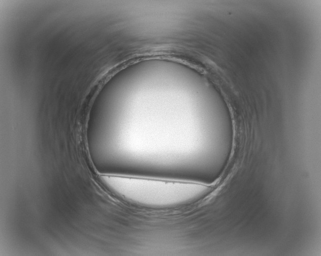 X0000067461449200604070914