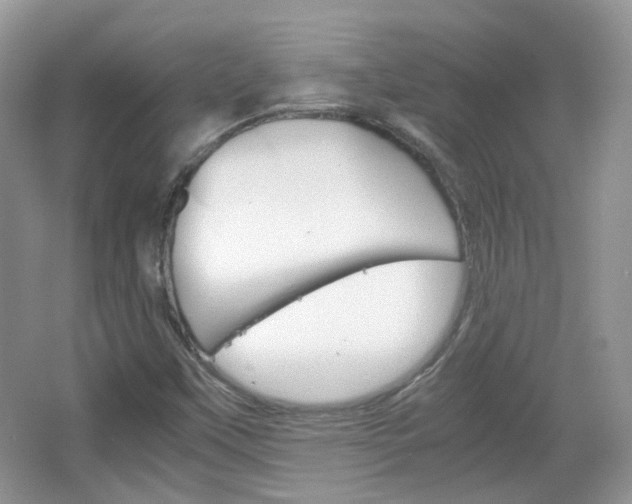 X0000067461451200604070914