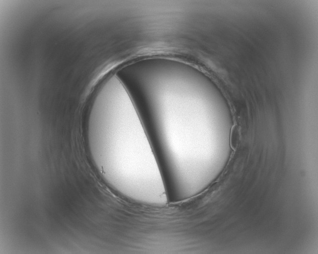 X0000067461453200604070914