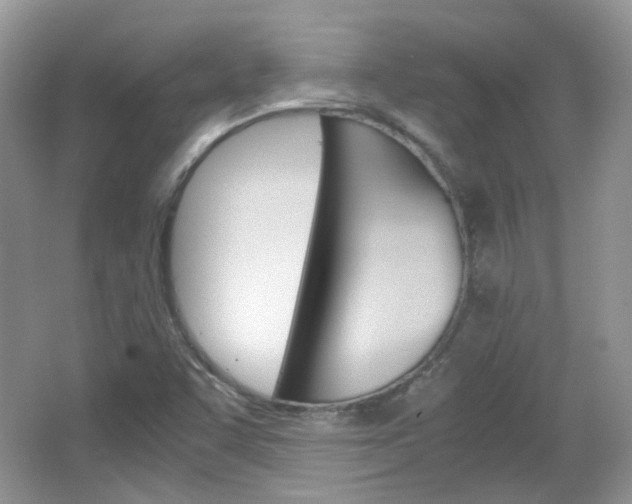 X0000067461455200604070914