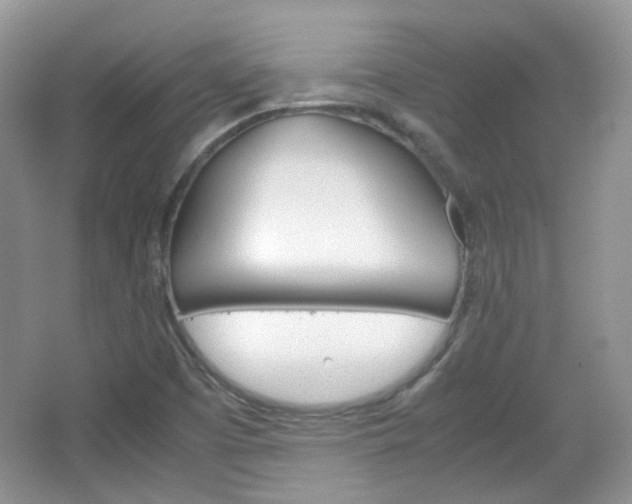 X0000067461457200604070914