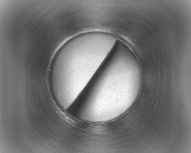 X0000067461460200604070914