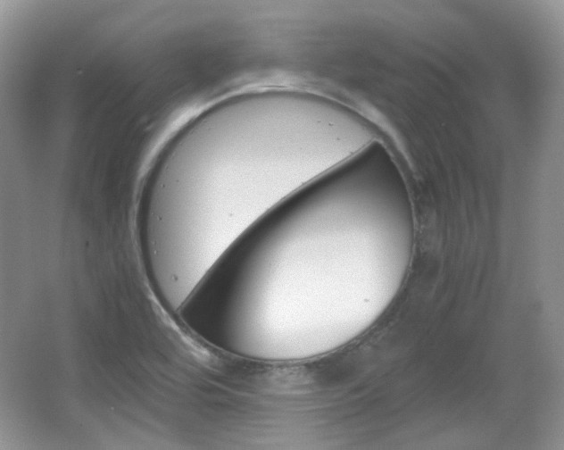 X0000067461464200604070914