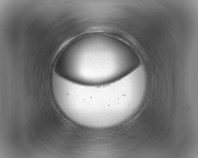 X0000067461465200604070914