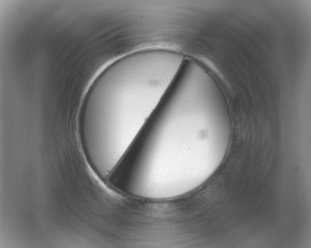 X0000067461468200604070914
