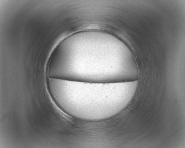 X0000067461475200604070914